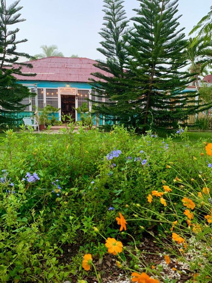 Bed and Breakfast Campito Loving Игуэй Экстерьер фото